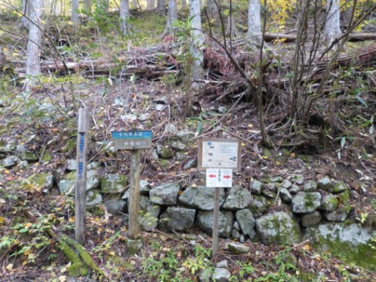 ブナコース、カラマツコース分岐
